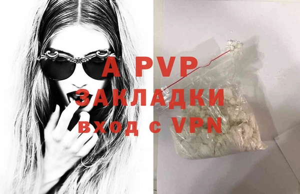 МДПВ Каменка